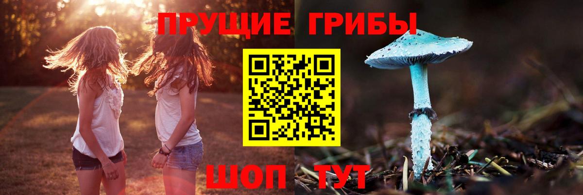 Псилоцибиновые грибы мухоморы Котовск